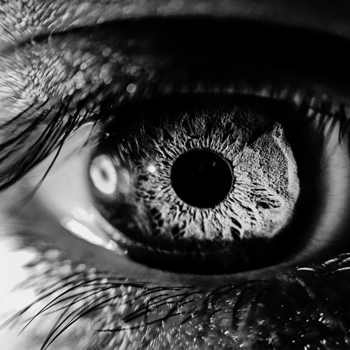 Photo d'une oeil en gros plan, illustrant la blessure du regard social.
